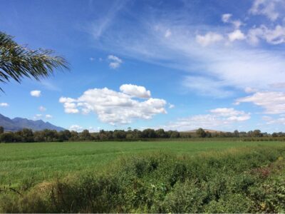 Breede Escape