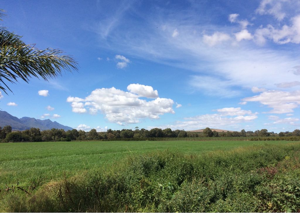 Breede Escape