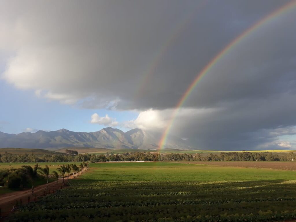 Breede Escape